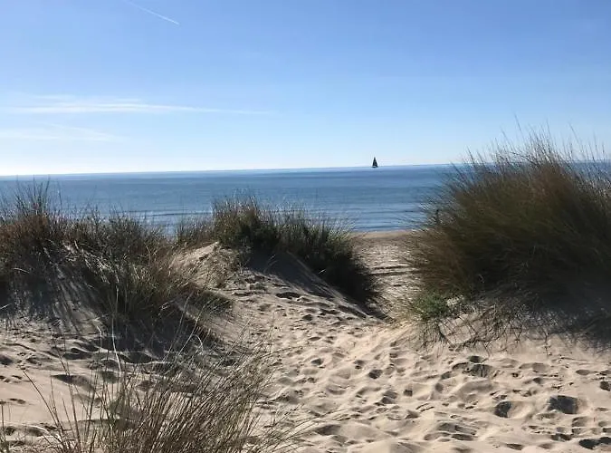 4 Etoiles, Vue Mer, Clim, Wifi, Parking, Piscine