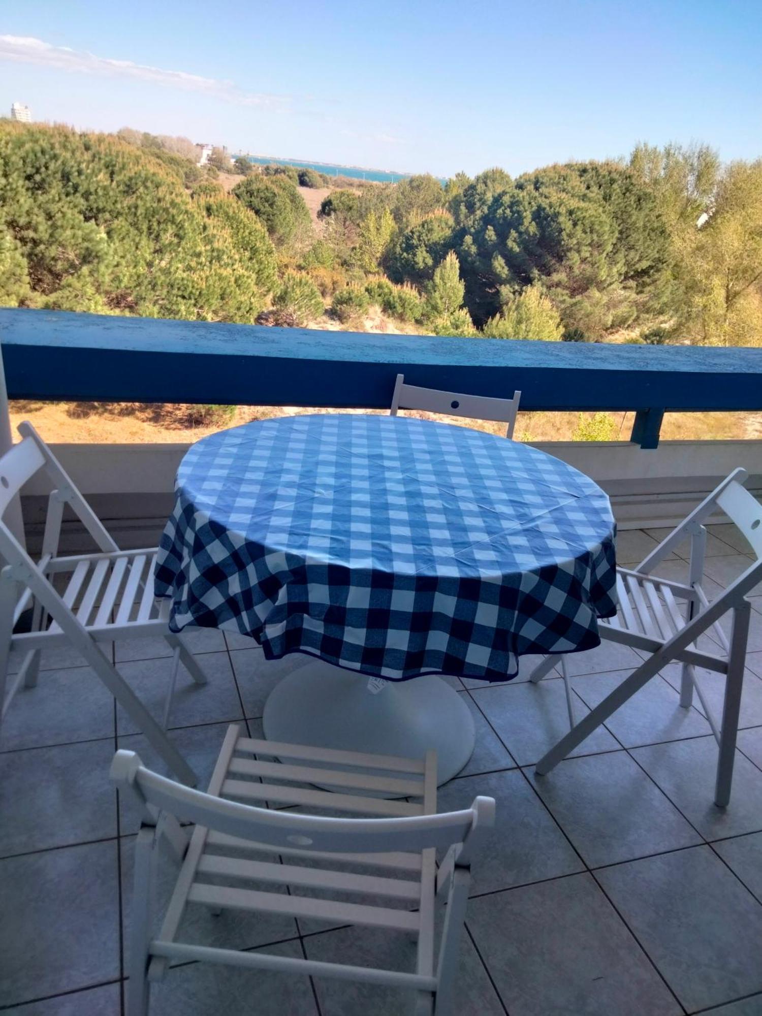 4 Etoiles, Vue Mer, Clim, Wifi, Parking, Piscine * La Grande-Motte
